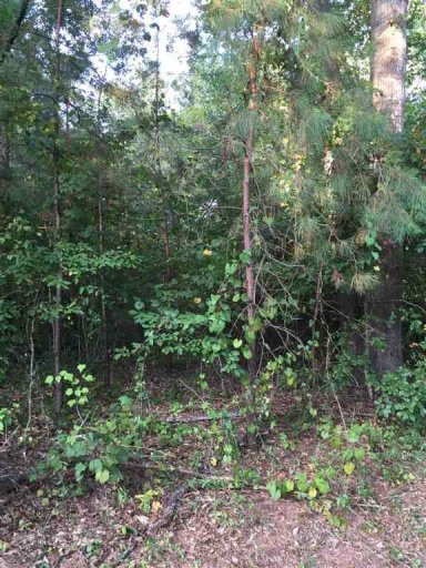 00 Mcclellan Road