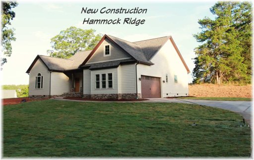 163 Hammock Ridge Drive