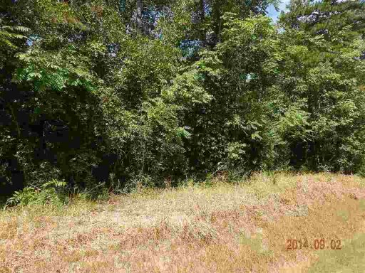 241 E Capewood Avenue