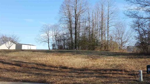 703 Shaded Acre Court