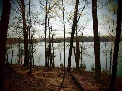 Lot 11 Fennell Point