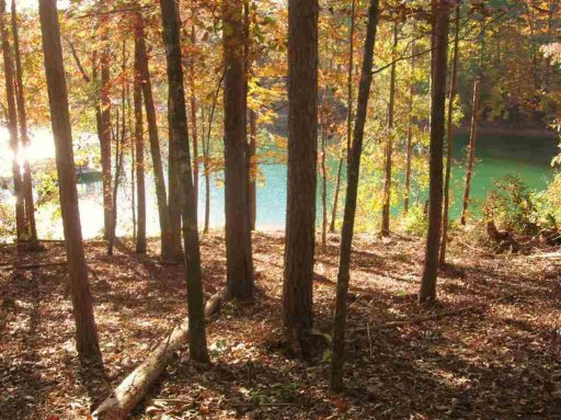 Lot 35 Southwind Bay Southwind Bay on Lake Keo