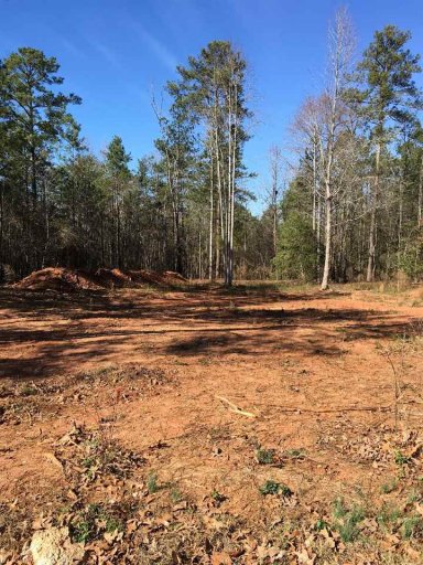 2506 Linmar Circle Lot 44