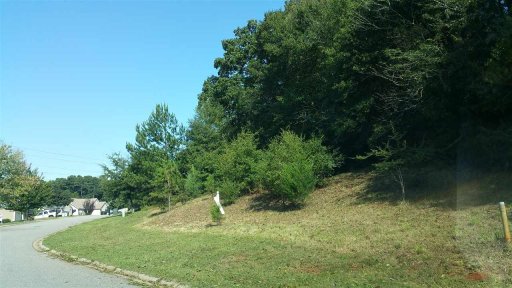 117 Falcons Landing lot 18