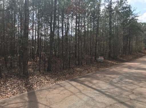 1195 Wilderness Trail