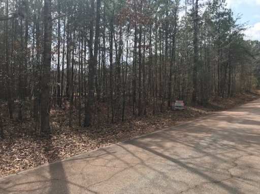 Lot 12 Wilderness Trail