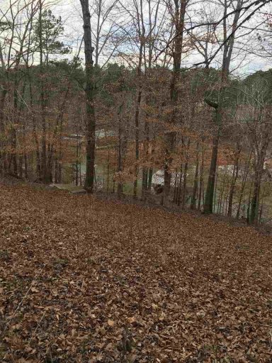 220 Lake Breeze Lane