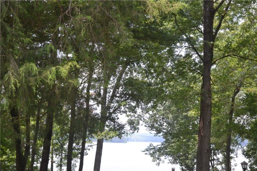 Tract 1 Reed Creek Point