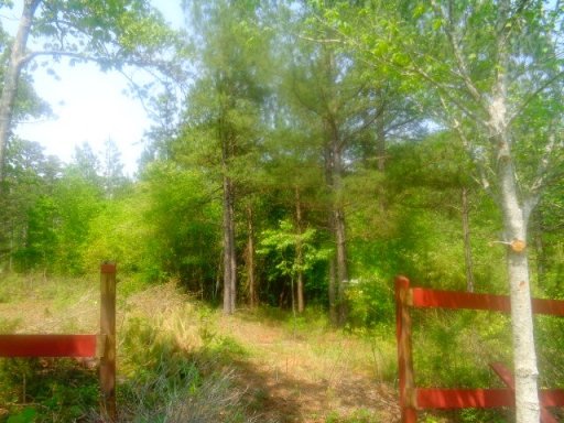 Lot 61,62,63,64 Sweetwater View Road