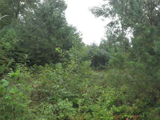 342 Woodmere Drive Lot 65