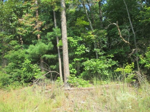 0000 Whitmire Church Road