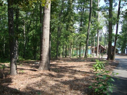 Lot 1 Laurel Pointe