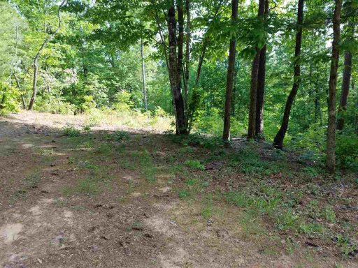 119 Oolenoy Court Lot 42