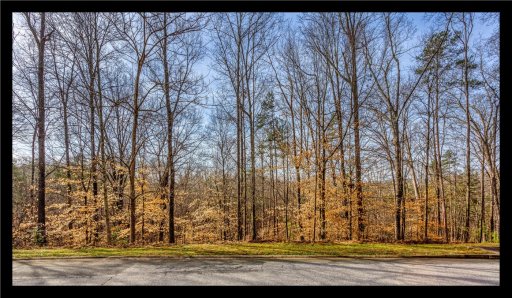 00 Willow Wood Court Court