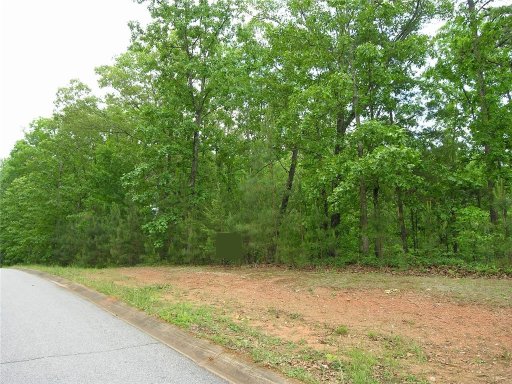 107 Bartram Trail Central