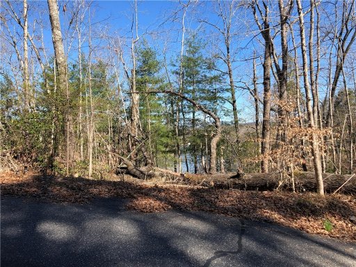 Lot 8 Lake Becky Road