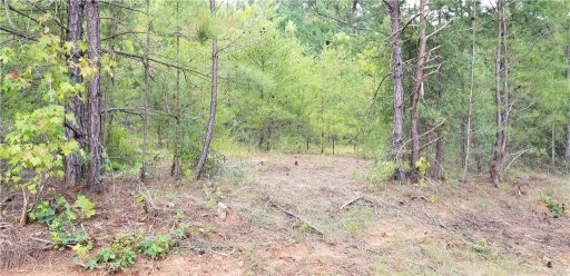 Lots 64,65 Galloping Ghost Road