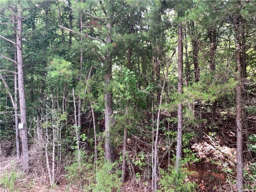 00 Martin Creek Road