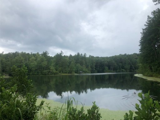 239 N Little River Road