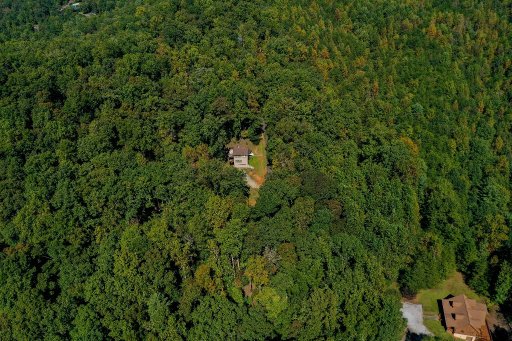157 Summit Pine