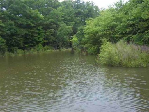 Lot 13 Madison Shores Drive