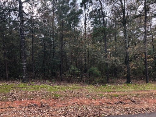 184 Seminole Point Road