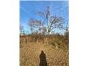 Lot 10A West Sunset Court