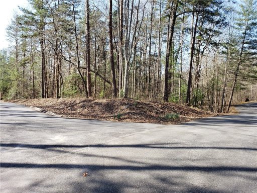 00 Turtlehead Drive