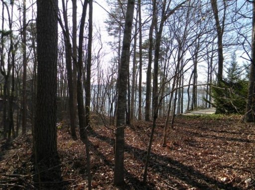 1002 Gaineswood Cove