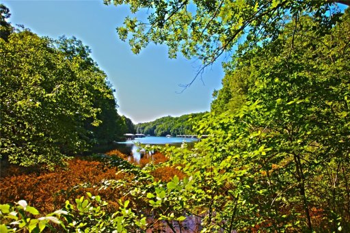Lot 11 Estates At Riverstone