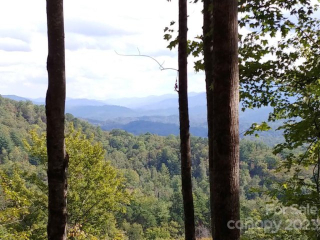 Homes in The Settlement At Thomas Divide, Bryson City