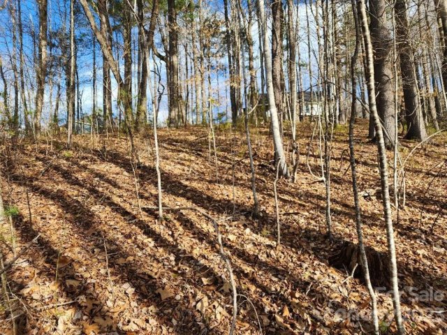 00 Barebridge Drive 16 sold home in Barebridge Fields, Burnsville, NC