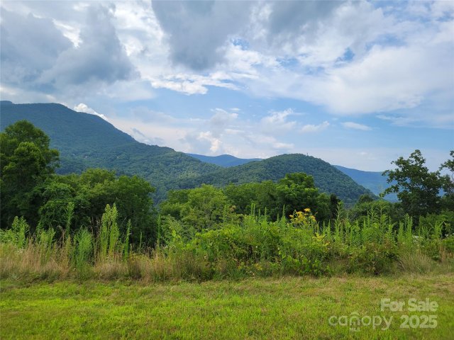 35 Rons Ridge active home in The Preserve At Jonathan Creek, Waynesville, NC
