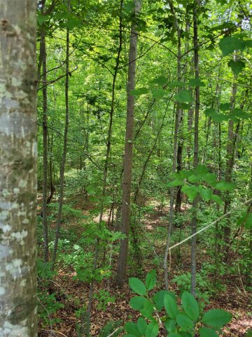 Lot 22 Weatherwood Drive sold home in Weatherwood, Lincolnton, NC