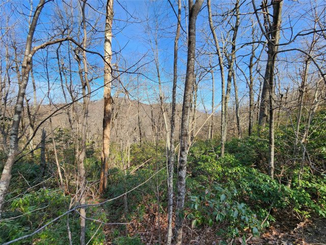 Lot 22 Sunset Ridge Drive active home in White Oak Mountain, Columbus, NC