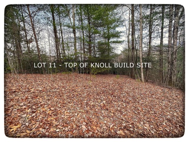 Lot 11 Silverstone Drive sold home in Silverstone, Hendersonville, NC