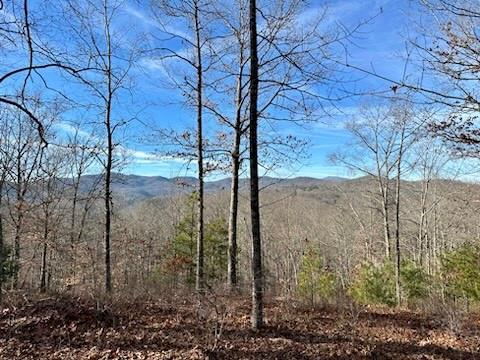 305 Raccoon Run 25 active home in French Broad Crossing, Marshall, NC