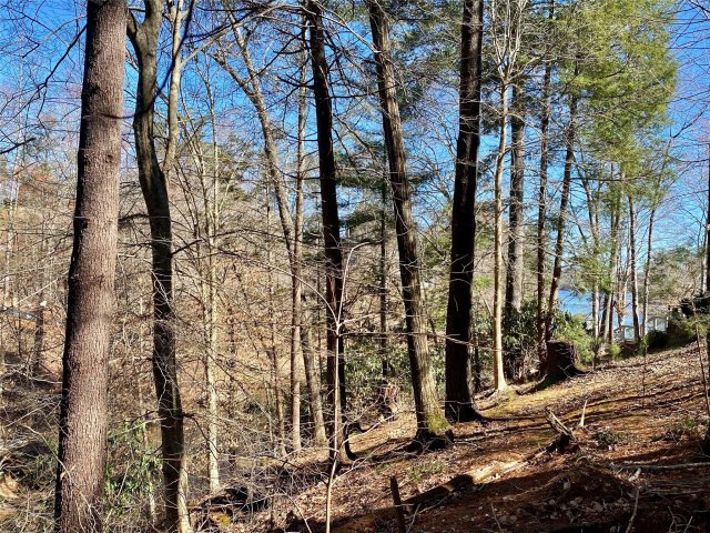 199 Lentz Landing Lane 20 sold home in Waterglyn, Nebo, NC