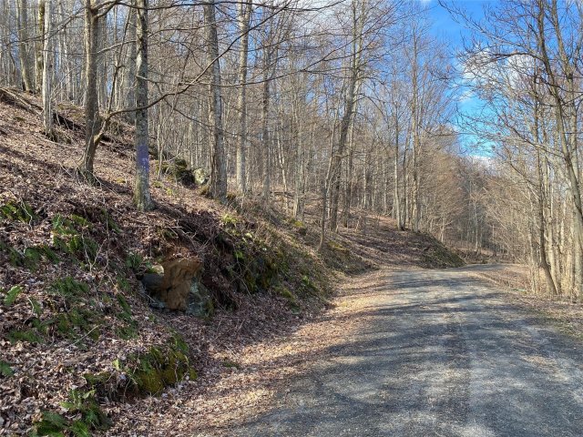 Lot Iii Bear Springs Road sold home in Bear Ridge, Bakersville, NC