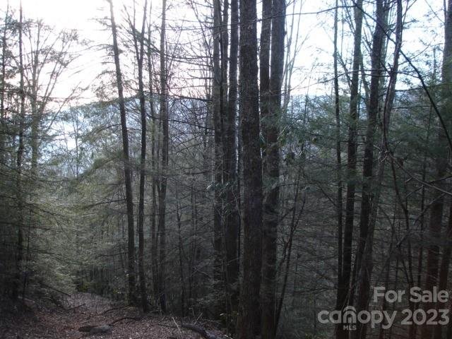 Lots 1 2 Bent Tree Road sold home in Sheepback Mountain Estates, Maggie Valley, NC