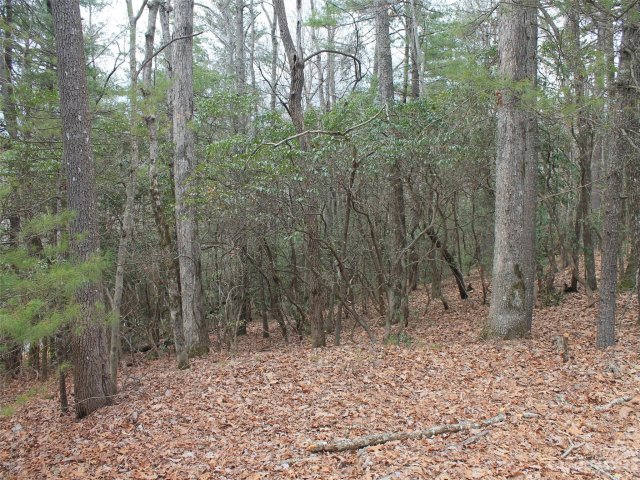 000 Wildlife Trail 1.16 ACRES sold home in Kanuga Ridge, Hendersonville, NC