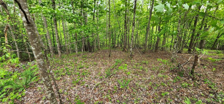 Lot 23 S Cross Creek Trail sold home in Mountain Laurel Estates, Mill Spring, NC