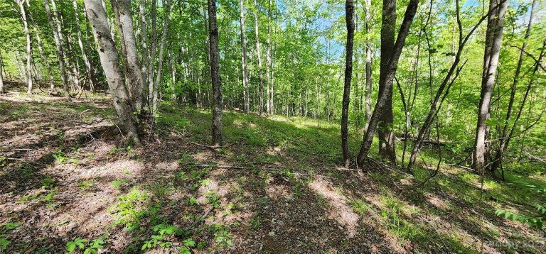 Lot 24 S Cross Creek Trail sold home in Mountain Laurel Estates, Mill Spring, NC