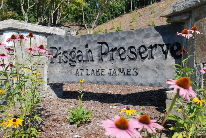 9589 Shortoff View Terrace 29 active home in Pisgah Preserve, Nebo, NC