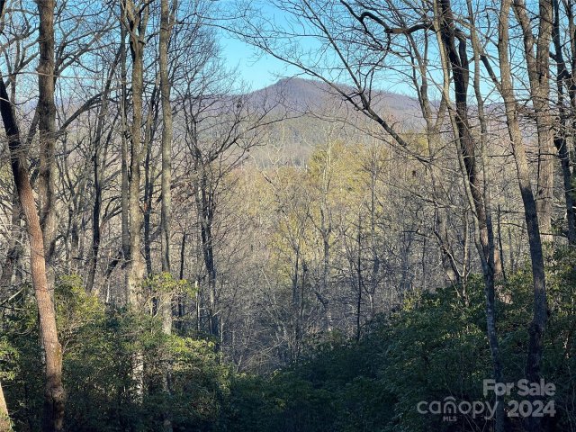 9999 Marshall Lake Road sold home in Stones Lake, Cedar Mountain, NC