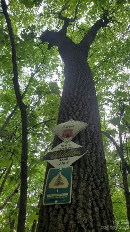 135 Mad Bear Trail sold home in Indian Camp Mountain, Rosman, NC