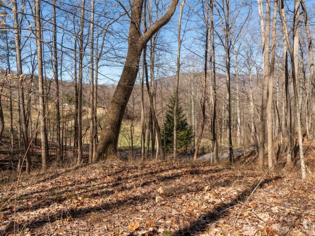 115 Lindon Cove Road 33 sold home in Lindon Cove Crossing, Candler, NC