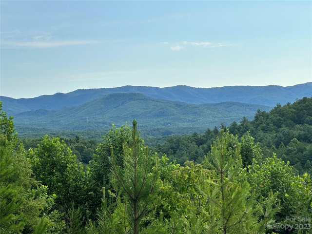643 Woodgate Drive 40 active home in South Mountain Peaks, Bostic, NC