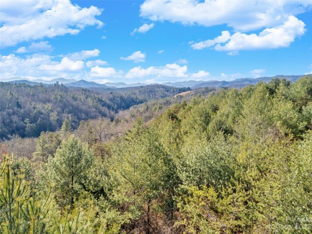 0000 Highland Creek Drive sold home in River Highlands at Madison Crs, Marshall, NC