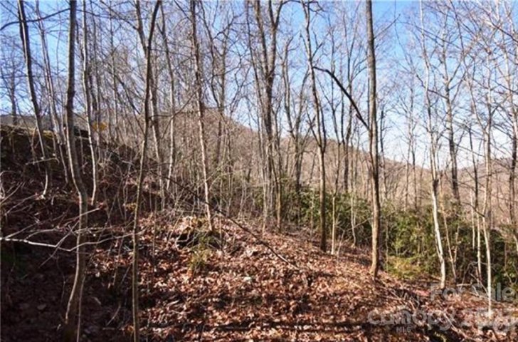 800 Henry Dingus Way 26 sold home in Campbell Woods, Maggie Valley, NC